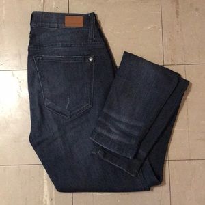 Judy Blue Peter Skinny Jeans